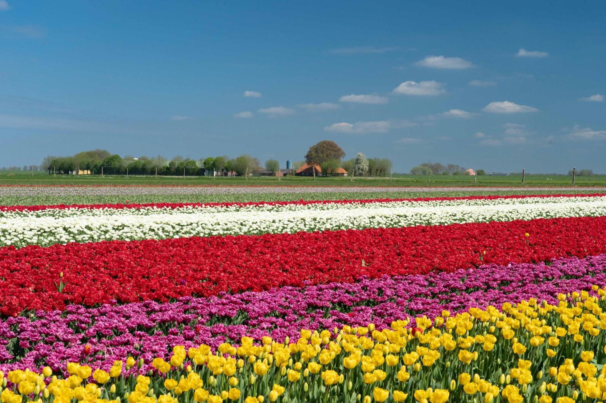 Camping Het Bosbad Emmeloord Bagian luar foto